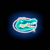 NCAA Florida Gators Neon Pet T-Shirt